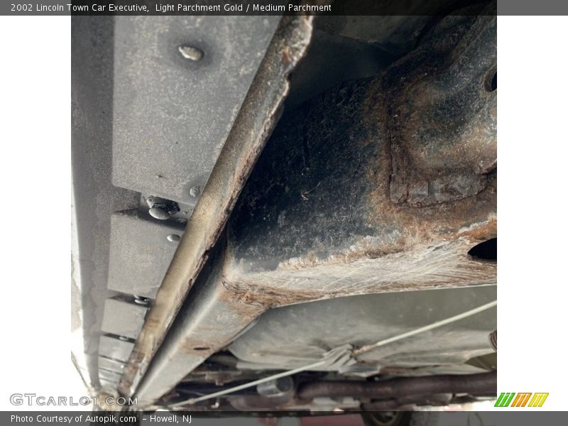 Light Parchment Gold / Medium Parchment 2002 Lincoln Town Car Executive