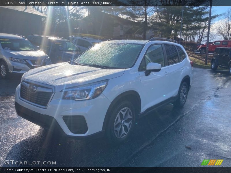 Crystal White Pearl / Black 2019 Subaru Forester 2.5i Premium