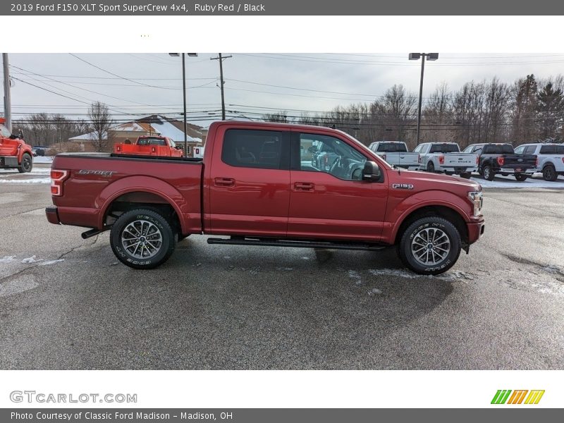 Ruby Red / Black 2019 Ford F150 XLT Sport SuperCrew 4x4