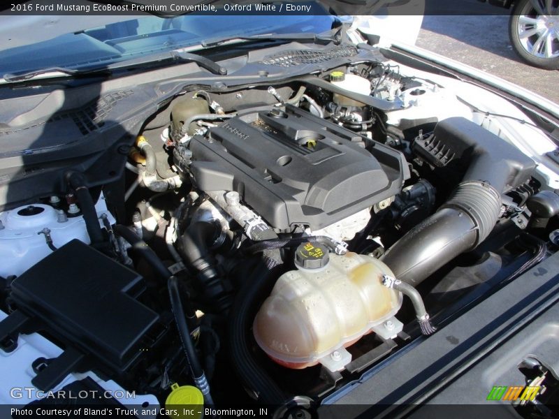 Oxford White / Ebony 2016 Ford Mustang EcoBoost Premium Convertible