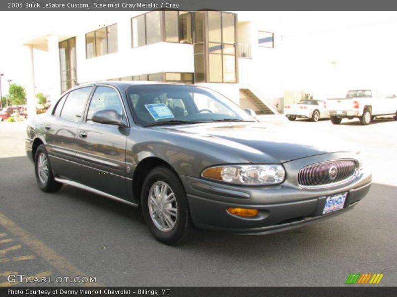 Steelmist Gray Metallic / Gray 2005 Buick LeSabre Custom