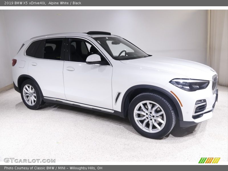 Alpine White / Black 2019 BMW X5 xDrive40i