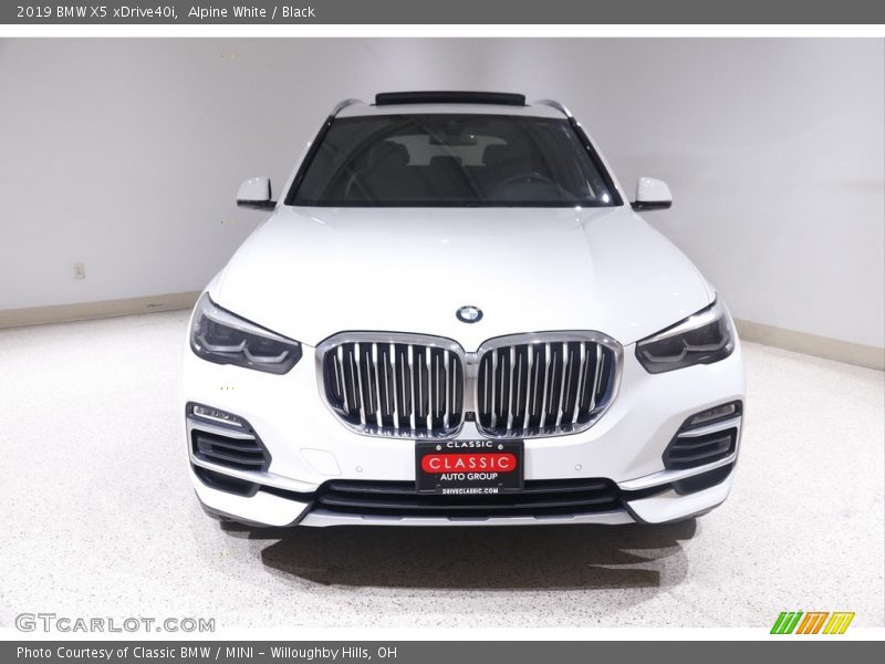 Alpine White / Black 2019 BMW X5 xDrive40i
