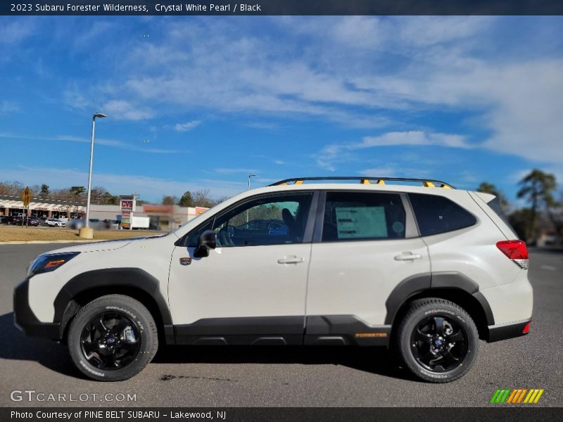 Crystal White Pearl / Black 2023 Subaru Forester Wilderness
