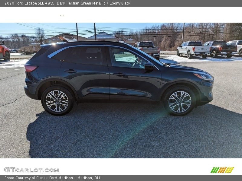 Dark Persian Green Metallic / Ebony Black 2020 Ford Escape SEL 4WD