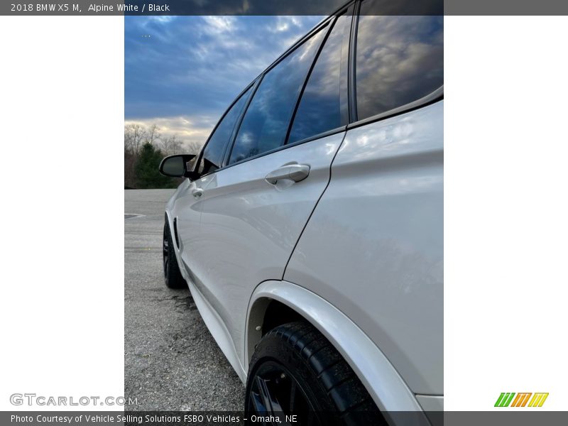 Alpine White / Black 2018 BMW X5 M