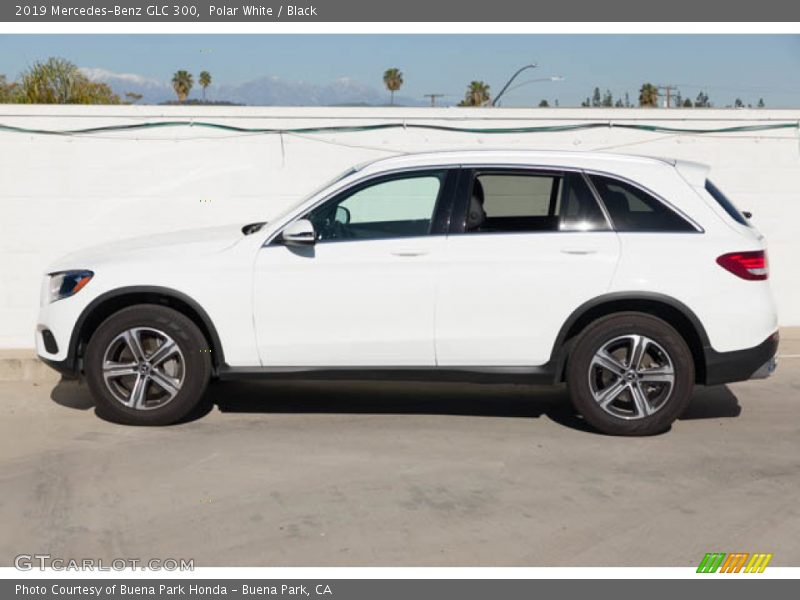 Polar White / Black 2019 Mercedes-Benz GLC 300