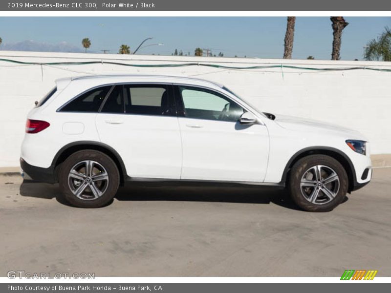 Polar White / Black 2019 Mercedes-Benz GLC 300