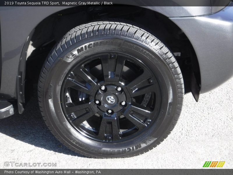 Magnetic Gray Metallic / Black 2019 Toyota Sequoia TRD Sport