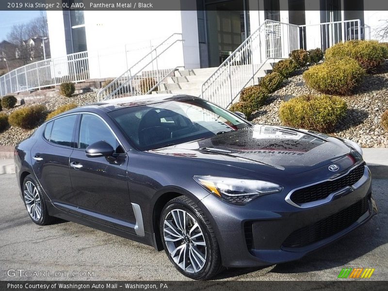 Panthera Metal / Black 2019 Kia Stinger 2.0L AWD