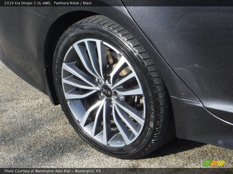 Panthera Metal / Black 2019 Kia Stinger 2.0L AWD