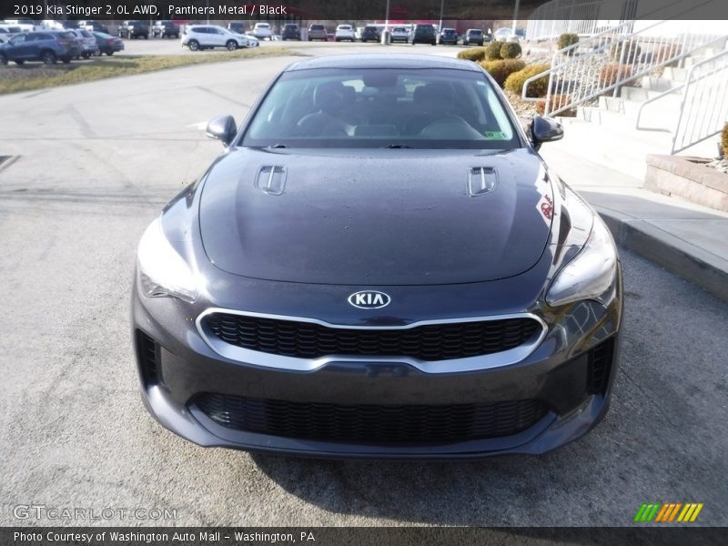 Panthera Metal / Black 2019 Kia Stinger 2.0L AWD