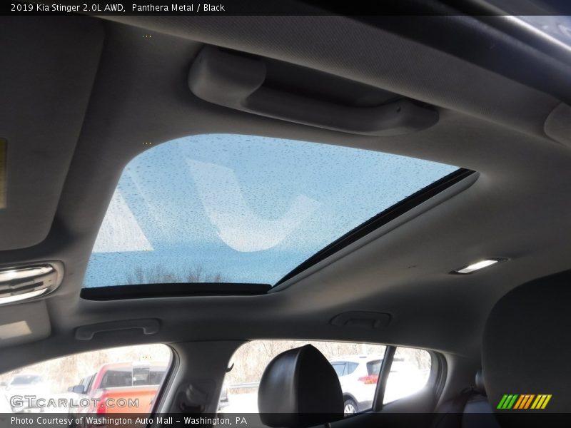 Panthera Metal / Black 2019 Kia Stinger 2.0L AWD