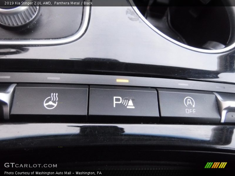 Panthera Metal / Black 2019 Kia Stinger 2.0L AWD