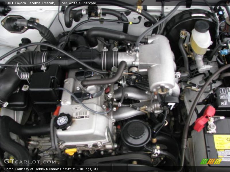 Super White / Charcoal 2001 Toyota Tacoma Xtracab