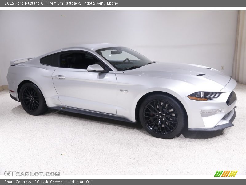 Ingot Silver / Ebony 2019 Ford Mustang GT Premium Fastback