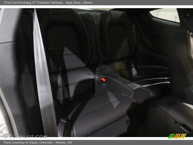 Ingot Silver / Ebony 2019 Ford Mustang GT Premium Fastback
