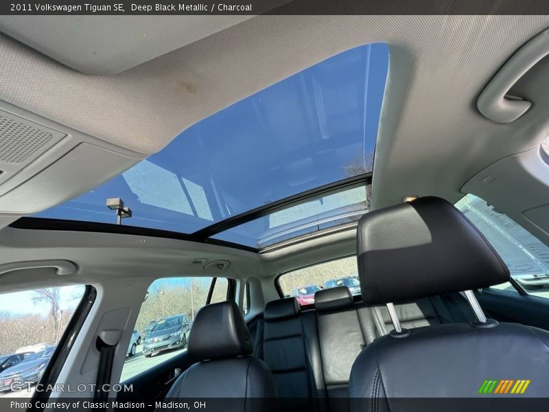 Deep Black Metallic / Charcoal 2011 Volkswagen Tiguan SE