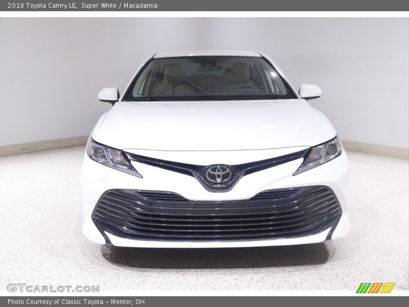 Super White / Macadamia 2019 Toyota Camry LE