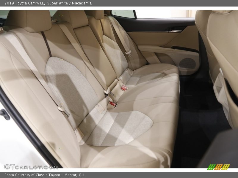 Super White / Macadamia 2019 Toyota Camry LE