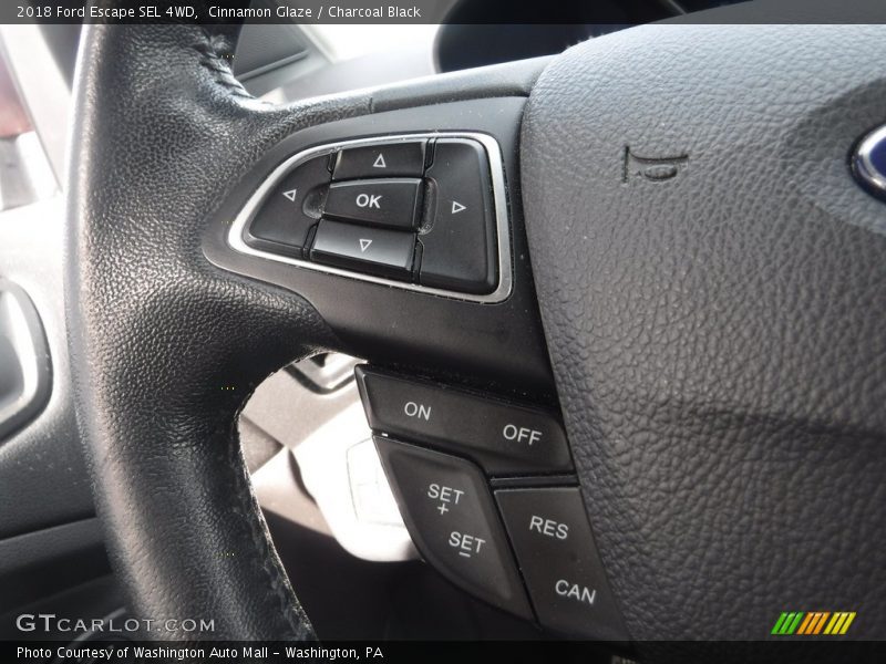 Cinnamon Glaze / Charcoal Black 2018 Ford Escape SEL 4WD