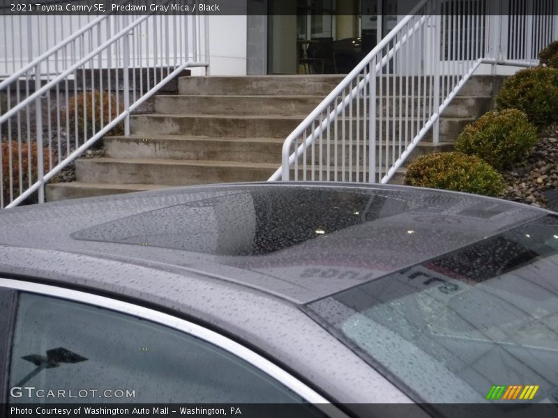 Predawn Gray Mica / Black 2021 Toyota Camry SE