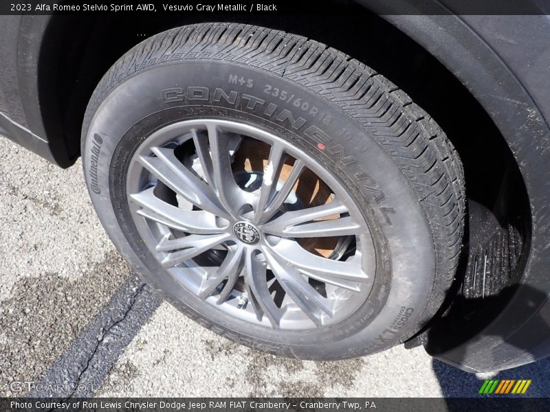 Vesuvio Gray Metallic / Black 2023 Alfa Romeo Stelvio Sprint AWD