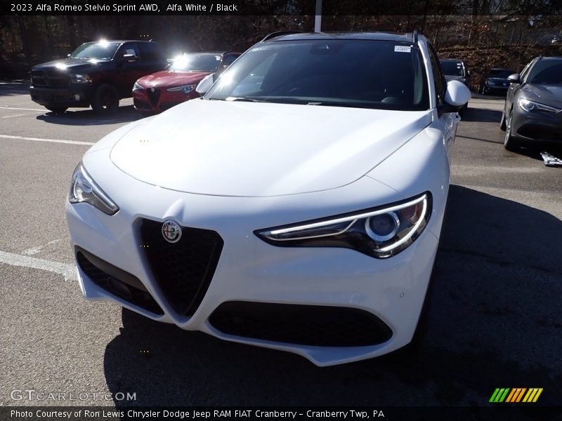 Alfa White / Black 2023 Alfa Romeo Stelvio Sprint AWD