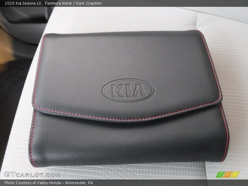 Panthera Metal / Dark Graphite 2020 Kia Sedona LX