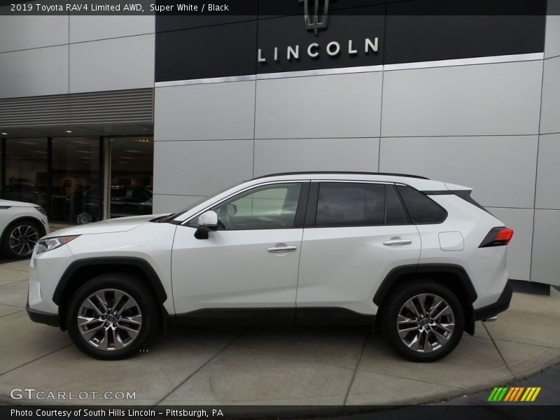 Super White / Black 2019 Toyota RAV4 Limited AWD