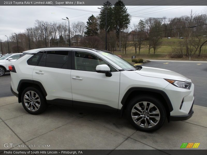 Super White / Black 2019 Toyota RAV4 Limited AWD