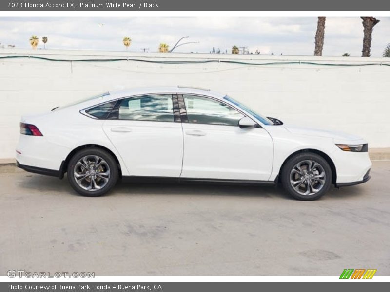  2023 Accord EX Platinum White Pearl