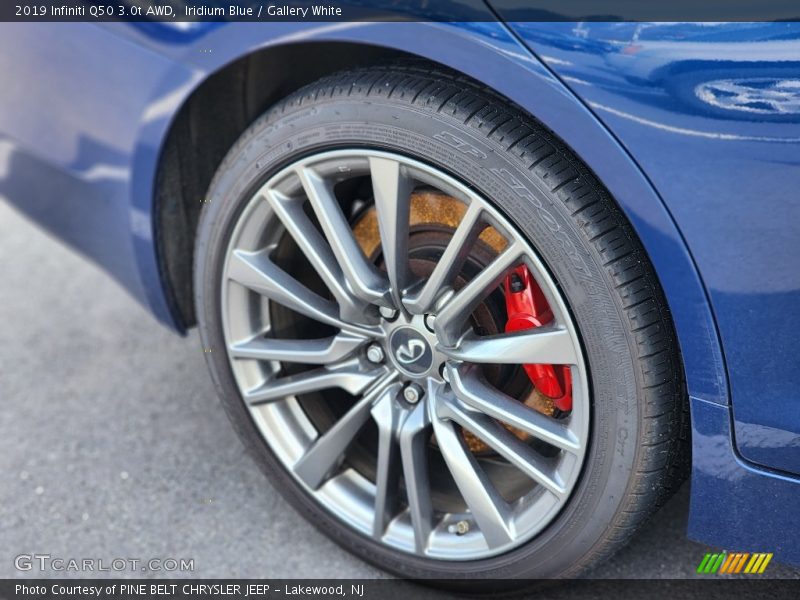 Iridium Blue / Gallery White 2019 Infiniti Q50 3.0t AWD