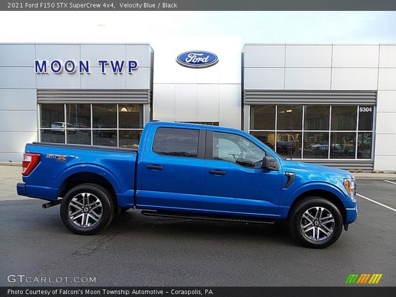 Velocity Blue / Black 2021 Ford F150 STX SuperCrew 4x4