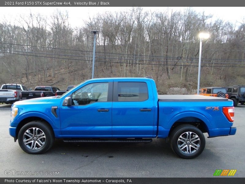 Velocity Blue / Black 2021 Ford F150 STX SuperCrew 4x4