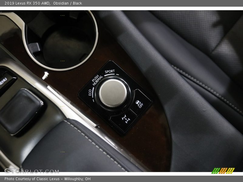 Obsidian / Black 2019 Lexus RX 350 AWD