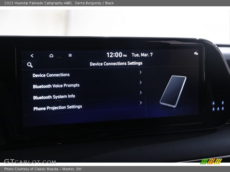 Sierra Burgundy / Black 2023 Hyundai Palisade Calligraphy AWD