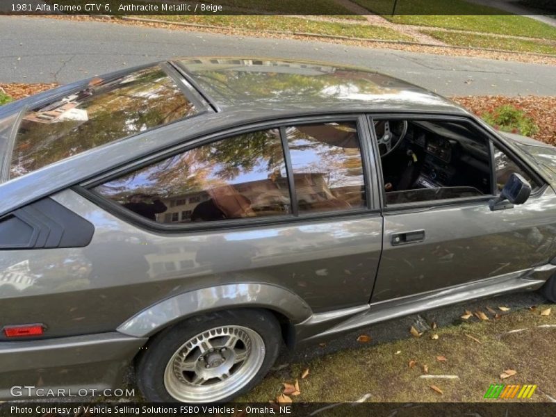 Anthracite Metallic / Beige 1981 Alfa Romeo GTV 6