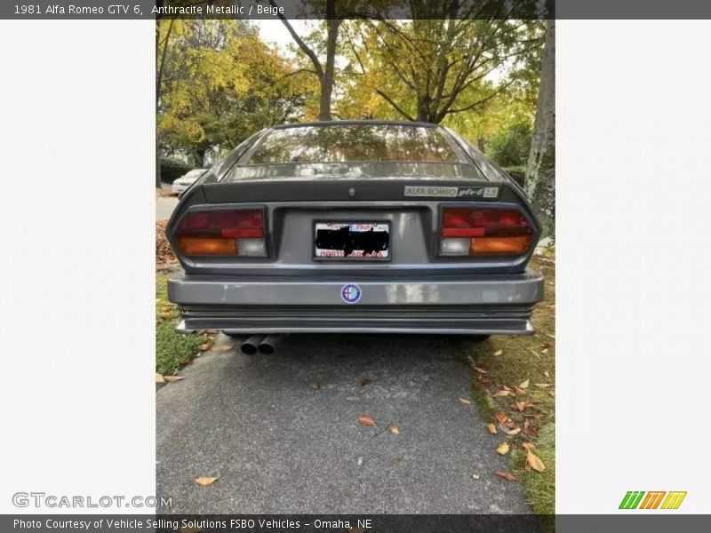 Anthracite Metallic / Beige 1981 Alfa Romeo GTV 6