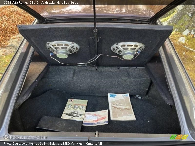 Anthracite Metallic / Beige 1981 Alfa Romeo GTV 6