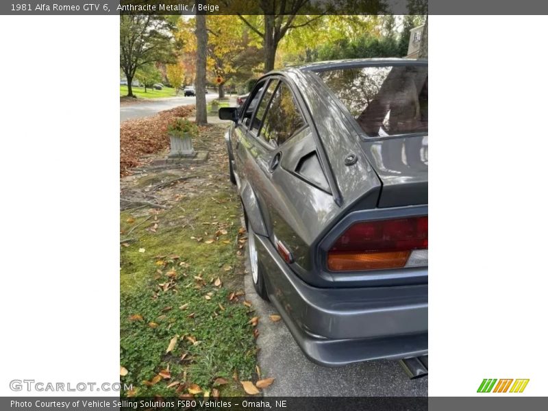 Anthracite Metallic / Beige 1981 Alfa Romeo GTV 6