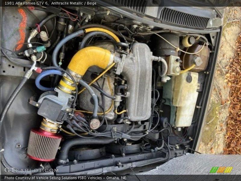 Anthracite Metallic / Beige 1981 Alfa Romeo GTV 6