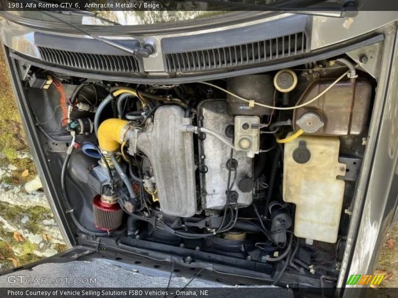 Anthracite Metallic / Beige 1981 Alfa Romeo GTV 6