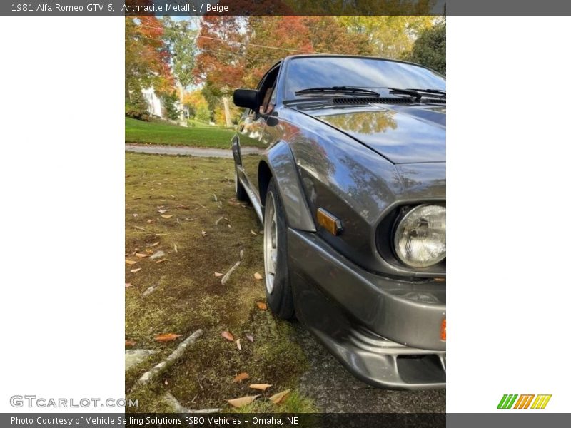 Anthracite Metallic / Beige 1981 Alfa Romeo GTV 6