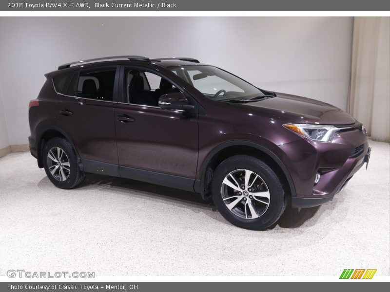 Black Current Metallic / Black 2018 Toyota RAV4 XLE AWD