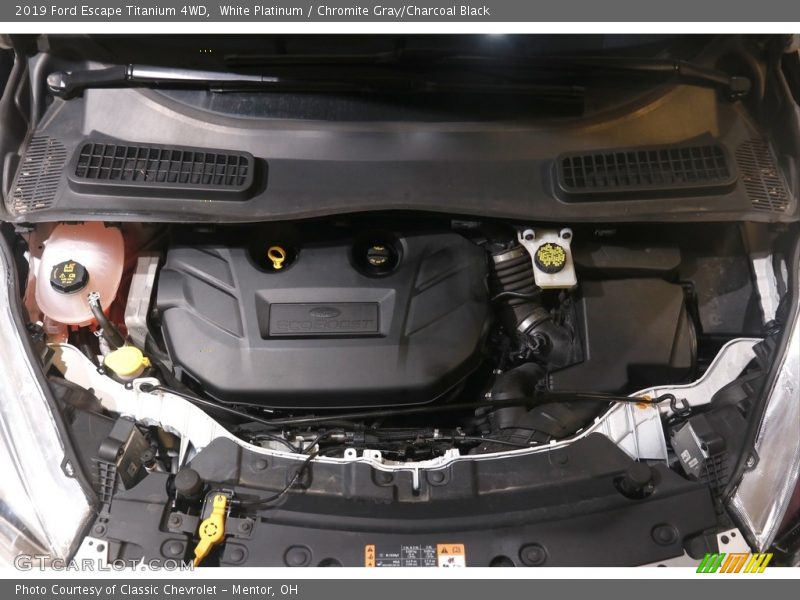 White Platinum / Chromite Gray/Charcoal Black 2019 Ford Escape Titanium 4WD