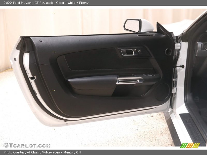 Door Panel of 2022 Mustang GT Fastback