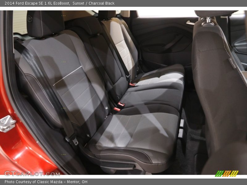 Sunset / Charcoal Black 2014 Ford Escape SE 1.6L EcoBoost