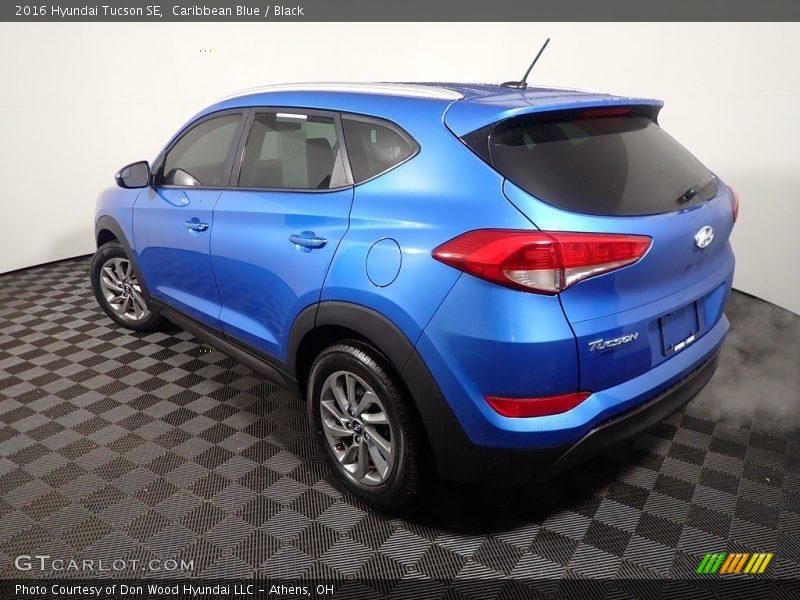 Caribbean Blue / Black 2016 Hyundai Tucson SE