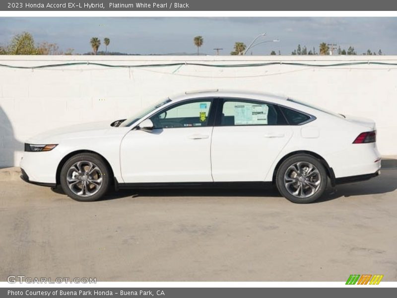  2023 Accord EX-L Hybrid Platinum White Pearl